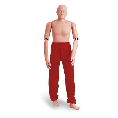 Picture of Rescue Randy Manikin Simulaids® Male Adult 55 lbs. Cast Vinyl with Zinc-Plated Steel149-1338