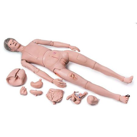 Picture of Patient Care Manikin PRO 3B Scientific® 33.7 lbs. PlasticZ13588