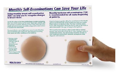 Picture of Nonsexual Breast and Testicular Self Examination NascoSB34569