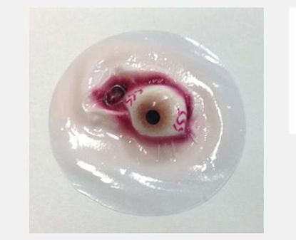 Picture of Eyeball Stick-on800-900