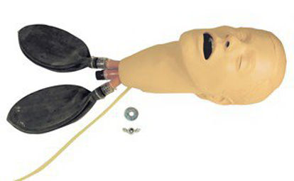 Picture of Intubation Head Assembly Manikin with Lung Male Adult201-00150
