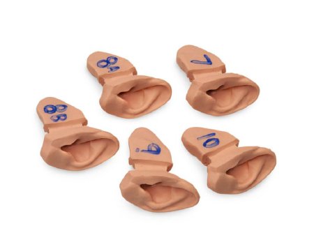Picture of Training Set of Ears Life/Form®LF01020