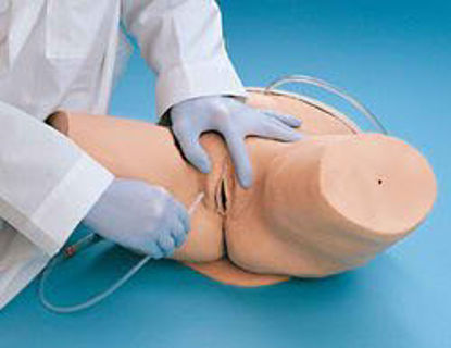 Picture of Female Catheterization Simulator Life/Form®LF00856
