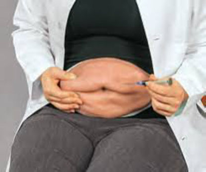 Picture of Advanced Injection Belly Trainer Life/Form®LF09900