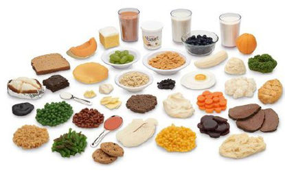 Picture of Carb Counting Food Replica KitWA26787