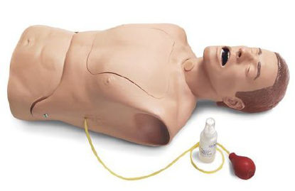 Picture of NG Tube Trach Care Simulator NascoLG02083