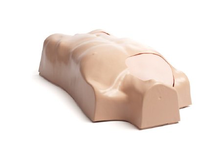 Picture of IV Torso Manikin Laerdal®090019