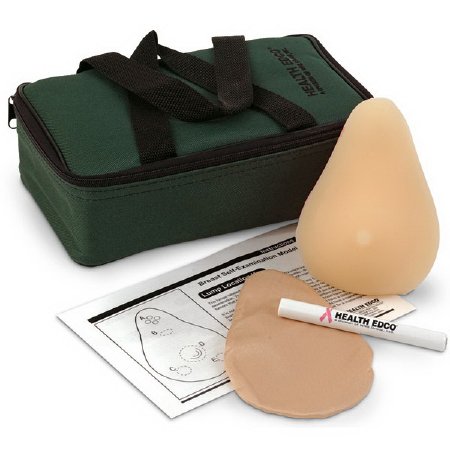 Picture of Standard BSE Model TrueForm™ FemaleSB52462