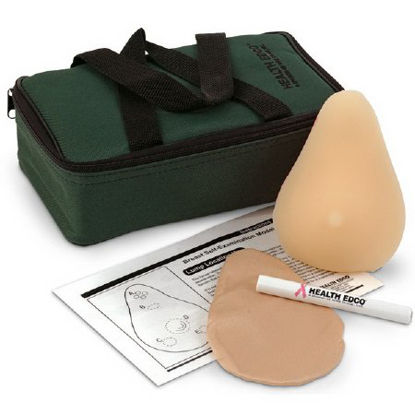 Picture of Standard BSE Model TrueForm™ FemaleSB52462