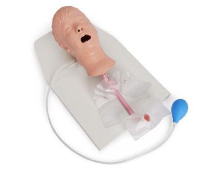 Picture of Child Airway Management Trainer with Stand Life/Form®LF03609
