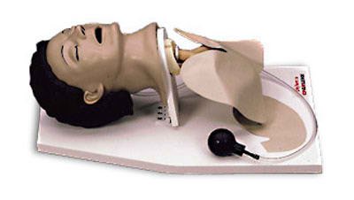 Picture of Adult Airway Management Trainer with Stand Life/Form® AdultLF03601