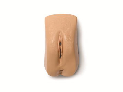Picture of Replacement Female Genitalia Adult325-03350