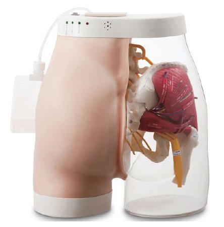 Picture of Intramuscular Injection Simulator Buttocks Type 2 Gender Neutral Adult 22 lbs.SB52393