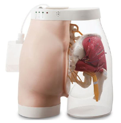 Picture of Intramuscular Injection Simulator Buttocks Type 2 Gender Neutral Adult 22 lbs.SB52393