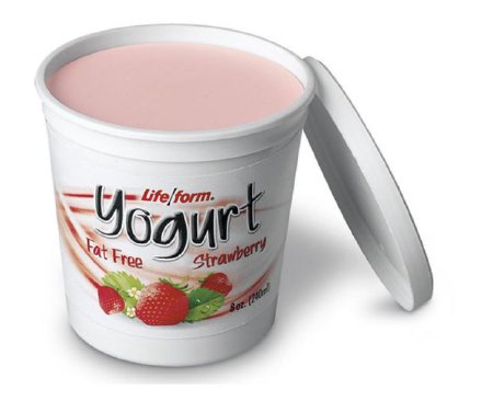 Picture of Yogurt Food Replica Life/Form®WA31471
