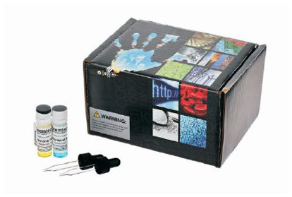 Picture of Student Lab Activity Kemtec™ Anti-A / Anti-B Blood Typing Serum SetS06447