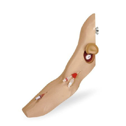 Picture of Advanced Arm Chester ChestSB45082