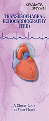 Picture of Patient Brochure Krames® Transoesophageal Echocardiography (TEE) AHA940248
