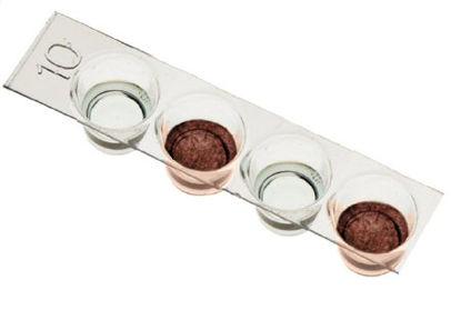 Picture of Student Lab Activity Edvotek™ Immunology of Pregnancy TestS05655