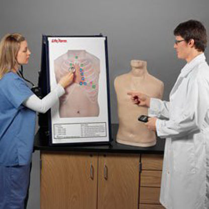 Picture of Auscultation Training Station Life/Form® 57 lbs.LF01191