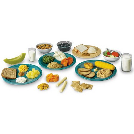 Picture of Common Meals Food Replica KitWA28381