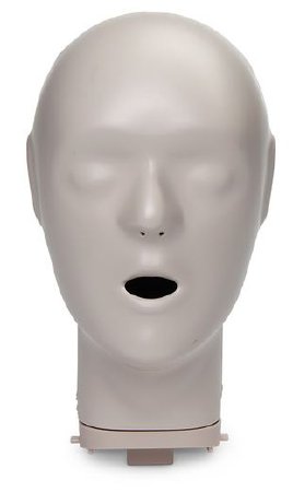 Picture of HEAD, REPLCMNT F/CPR PROMPT ADLT/CHLD MANIKINLF06911