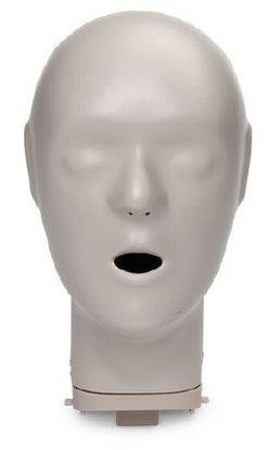 Picture of HEAD, REPLCMNT F/CPR PROMPT ADLT/CHLD MANIKINLF06911