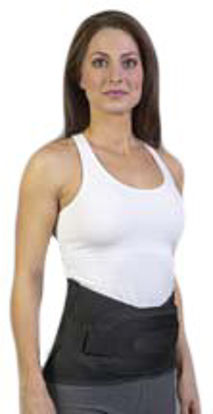 Picture of BACK BRACE, BACK-N-BLACK DUAL PANEL LG 39"X45"163255