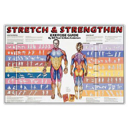 Picture of Exercise Chart Stretch and Strengthen 23 X 35 Inch Paper Laminated929422