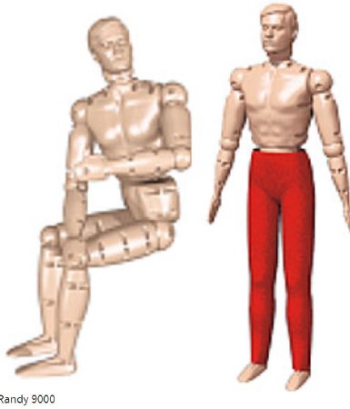 Picture of Randy Manikin Male 68 lbs. Polyethylene149-9000