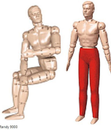 Picture of Randy Manikin Male 68 lbs. Polyethylene149-9000