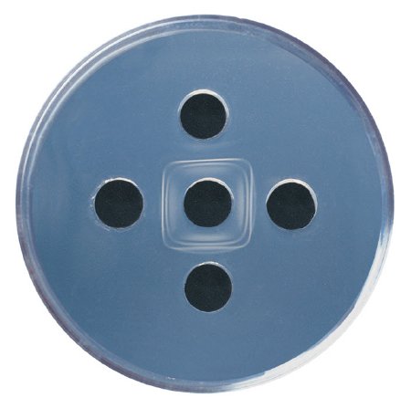 Picture of Student Lab Activity Edvotek™ Antigen - Antibody InteractionS90246ND