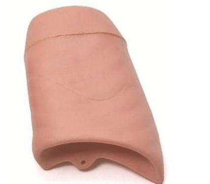 Picture of Airway Management Trainer Left lung  Laerdal®250400