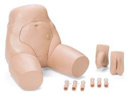 Picture of Interchangeable Catheterization and Enem Female375-21001