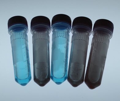 Picture of Student Lab Activity Edvotek™ Clinical Diagnosis of DiabetesS21280