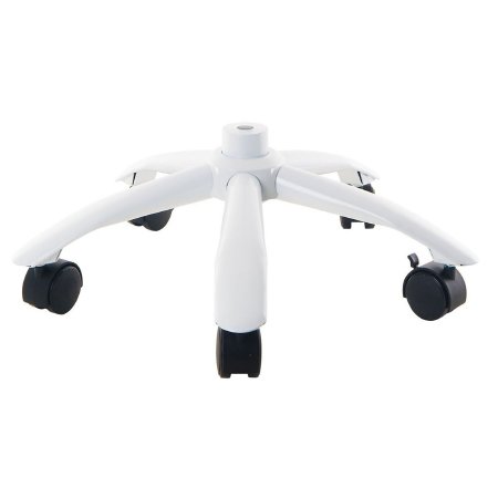 Picture of Skeleton StandZ01483