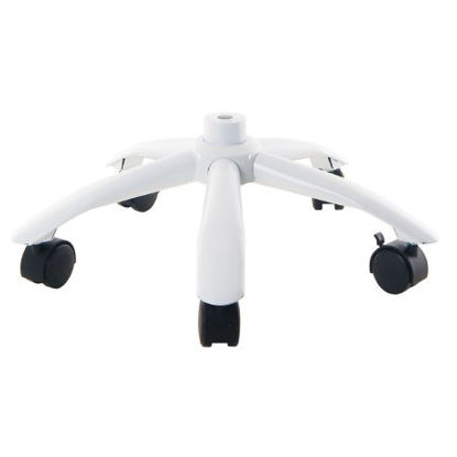 Picture of Skeleton StandZ01483