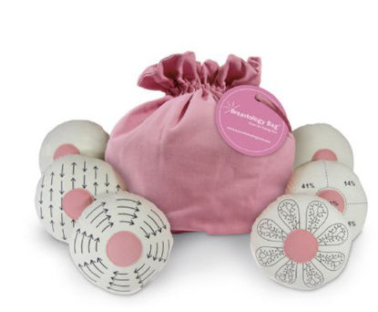 Picture of Breastology Bag Breastology Bag™SB47346