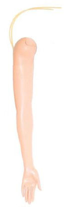 Picture of Multi-Venous Arm Female Adult375-51001