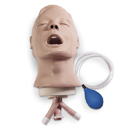 Picture of Airway Larry Adult Management Trainer Head Life/Form®LF03667