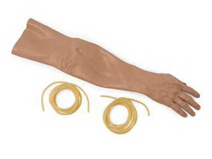 Picture of Arm Skin/Vein Adult375-60150T