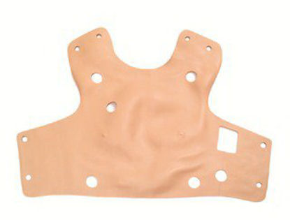 Picture of Chest Skin with Chest Drain380455