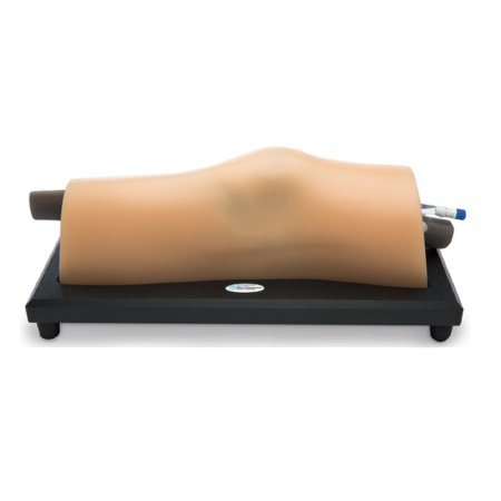 Picture of MODEL, KNEE MSK BLU PHANTOMBPMSK1000