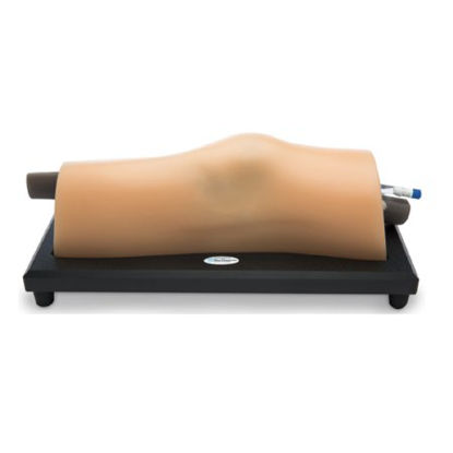 Picture of MODEL, KNEE MSK BLU PHANTOMBPMSK1000