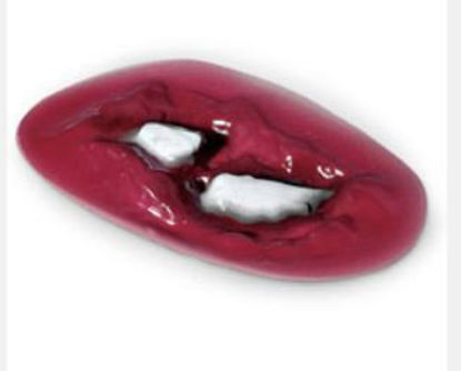 Picture of Large Fracture800-830