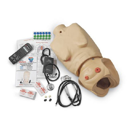 Picture of Manikin Auscultation Update Life/Form®LF04004