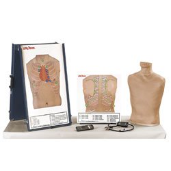 Picture of Auscultation Training Station Mannequin Deluxe Life/Form®LF01200