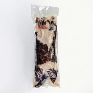 Picture of Preserved Cat Large 14 Inch and Over, Plain Preserved Injected Type470001-082