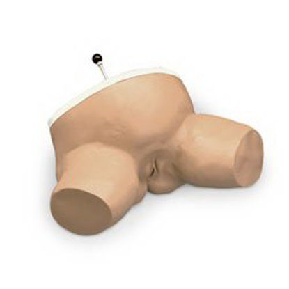 Picture of Birthing Station Simulator Life/Form® Female 24 lbs.LF01070
