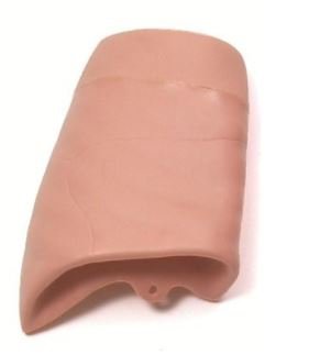 Picture of Airway Management Trainer Right lung  Laerdal®250600